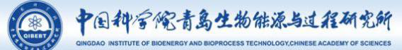 中国科学院青岛生物能源与过程研究所