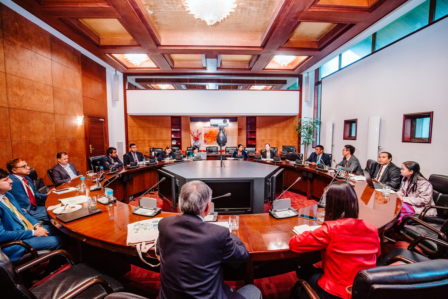 亚洲开发银行发展中成员国圆桌会