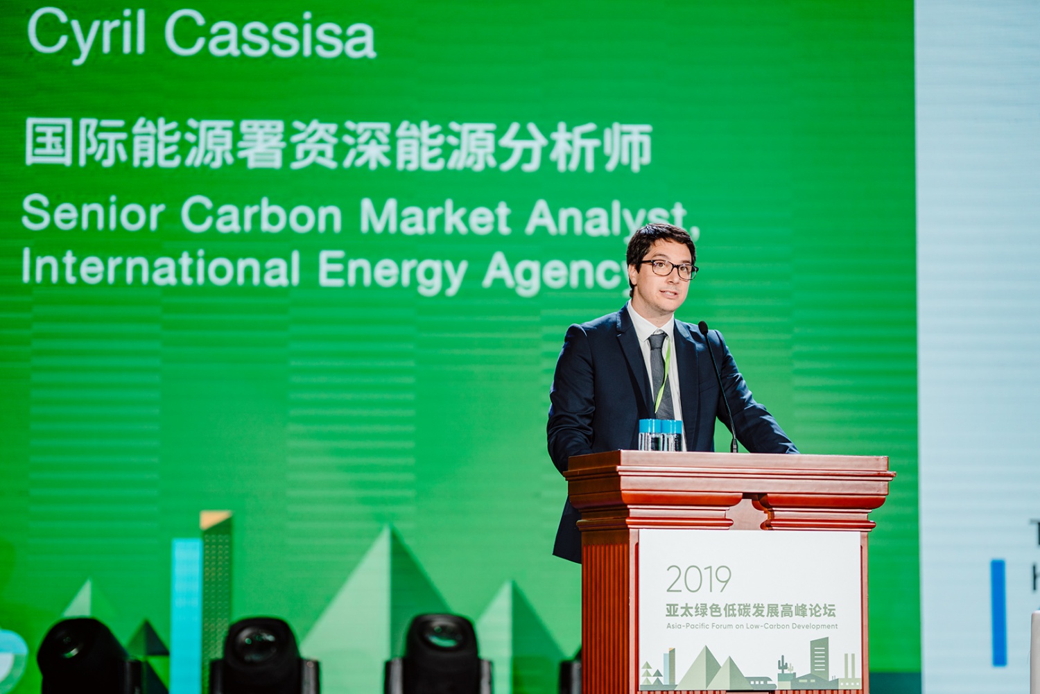 国际能源署资深能源分析师Cyril Cassisa